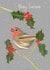 Robin Christmas Card 1001 created by Peach Paints