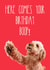 Birthday Boop Cockapoo Dog Card 1001 created by The Yorkshire Pawtrait Co.