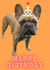 Happy Birthday French Bulldog Design created by Linen & Lace 