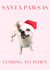 Santa paws is coming to town chihuahua created by Katie McCormick