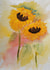 Sunflowers watercolour created by Madasapenguin Designs