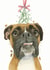 Boxer Dog Christmas Card created by Robert James Hull