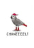 Funny - Meme - Chanel African Grey Parrot - Pun - Chanel - Noel - Bird - Santa Hat - Christmas Card created by Odd Socks