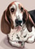 Bassett Hound created by Higgledy Pets