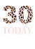 Fun Leopard print 30 Today Birthday Card created by Buttongirl Designs