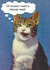 Funny Cat Wants a bloody treat card created by kissmekwik