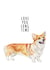 Love You Long Time - Corgi Card created by GiFlynn Design
