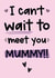First Mother's Day Card - From The Bump created by The Laughing Sloth