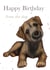Border Terrier Birthday Card created by Silvia Whiteley Art