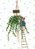 Pretty Hanging Plant New Home Card - House Plant - Happy New Home created by Love Lucy Illustration