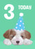 Cute puppy 3rd birthday card  created by Sarah Stephenson