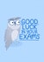Good Luck in your Exams created by Ludicrous Prints