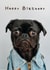 Happy Birthday - Pug in Jacket created by Wack Cards