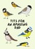 Cheeky Blue Tit Fathers Day Card  - Dad - Birds - Tits For An Amazing Dad created by Ink Icons 