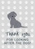 Thank you for looking after the dog created by Sunshine in Design