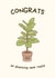 New Roots created by Sundiva Designs