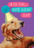 Happy birthday... In dog years, you're already dead!! created by Quitting Hollywood