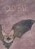 Old bat birthday card created by Shannon Flynn