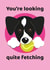 You're looking quite fetching dog card created by Rulu