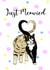 Just Meowied created by Hari & Fox