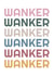 Colourful, wanker birthday card created by Pogle & Twink