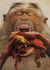 More Fast Food! created by Art Pirate