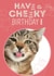 Cheeky Cat Birthday created by Karmuka