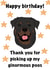 Funny happy birthday from the dog card - Rottie edition - created by TurtleMoonArt