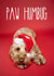 Funny Cockapoo Christmas Card created by The Yorkshire Pawtrait Co.