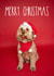 Cute Cockapoo Christmas Card created by The Yorkshire Pawtrait Co.