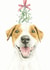 Jack Russell Terrier Christmas Card created by Robert James Hull
