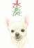 Chihuahua Mistletoe Christmas Card created by Robert James Hull