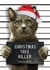 Funny Cat Christmas Card created by Brainbox Candy