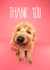 Cute dog thank you greetings card created by The Yorkshire Pawtrait Co.