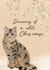 Pretty Christmas card for a cat lover created by WillyBee