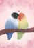 Lovebirds for your beloved created by Emma-Lee Taaffe