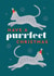 Cute Christmas Card for a Cat Lover created by X, Y & Z Design