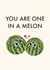 Cute melon valentines. One one a million/melon pun. Funny fruit in love. created by Cynicards
