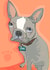 Cute French Bull Dog card for that special person in your life created by Higgledy Prints
