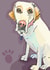 Gorgeous doe eyed Labrador card for any occasion created by Higgledy Prints