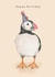 Funny birthday card - party hat - puffin created by Dani Williams