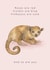 Roses are red... cute Kinkajou animal Valentine's card created by Dani Williams
