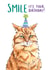 Funny grumpy ginger cat birthday card for cat lovers - Smile it's your birthday created by Bramble Designs