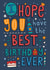 Best Birthday Ever Male - Fun Lettering created by Damien Barlow