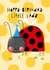 Cute Birthday Card - Ladybird - Little Lady created by Nicola Watson