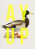 Ay Up Duck! Send your favourite welcome to your favourite person. created by The 13 Prints