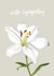 Cute Sympathy Card - Casablanca Lily created by Fliss Muir