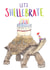Cute and funny tortoise birthday card for an animal lover and old timer created by Bramble Designs