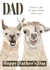 Funny Llama Father's Day Card - I Know I Get My Good Looks From You! created by Flying Teaspoons