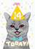Cute Birthday Crd - 14th - Cat created by Pencilface